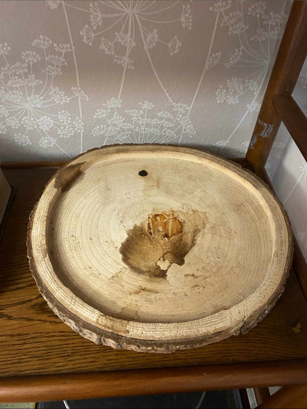 Rustic Natural Wood Slice Decorative Charger - Light Beige Tones